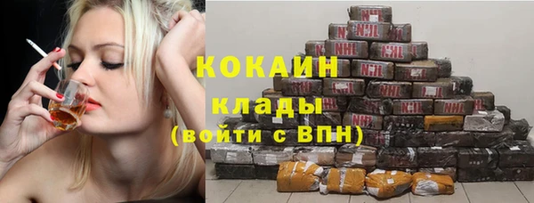 шишки Богородицк