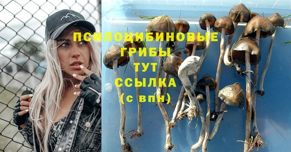 ECSTASY Богданович