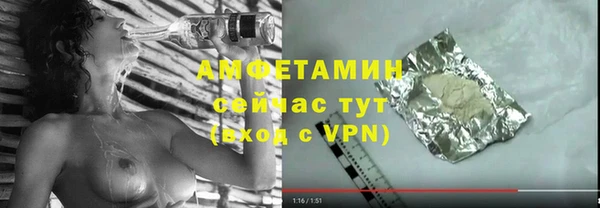 шишки Богородицк