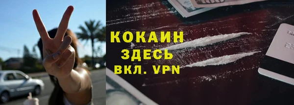 ECSTASY Богданович