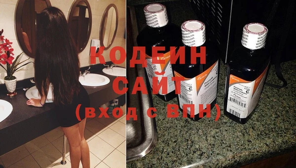 шишки Богородицк