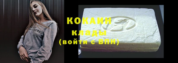 ECSTASY Богданович