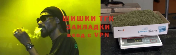 ECSTASY Богданович