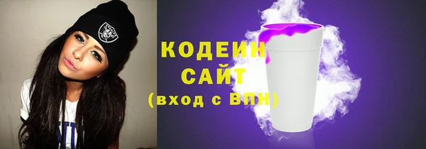 шишки Богородицк
