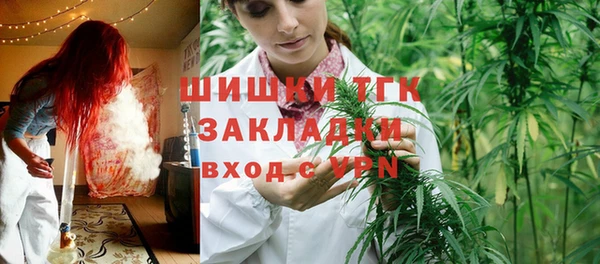 спиды Богородск