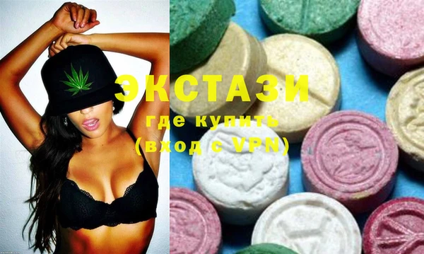 ECSTASY Богданович