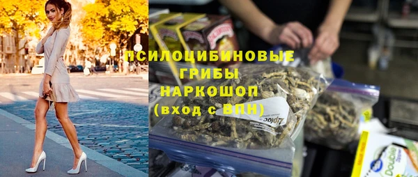 спиды Богородск