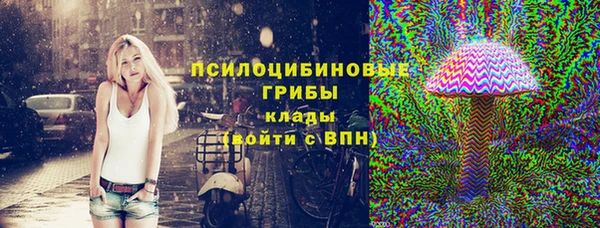 шишки Богородицк