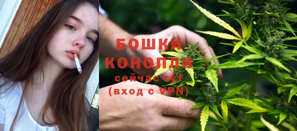 спиды Богородск