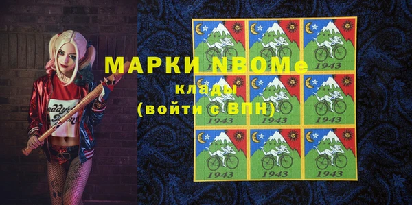 ECSTASY Богданович
