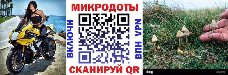 где купить МЕГА как войти Галлюциногенные грибы GOLDEN TEACHER Дигора